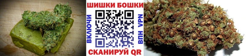 Купить Бабаево Canna-Cookies конопля