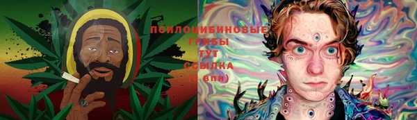 гидра Киренск
