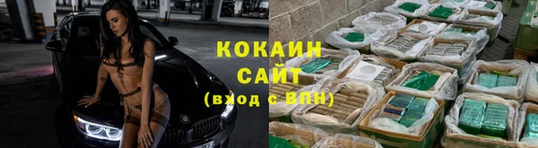 круглые Карпинск