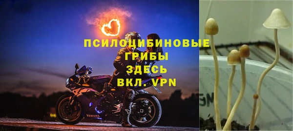 гидра Киренск