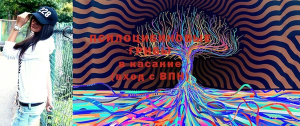 jwh Киреевск