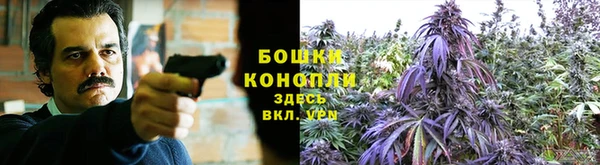 гидра Киренск